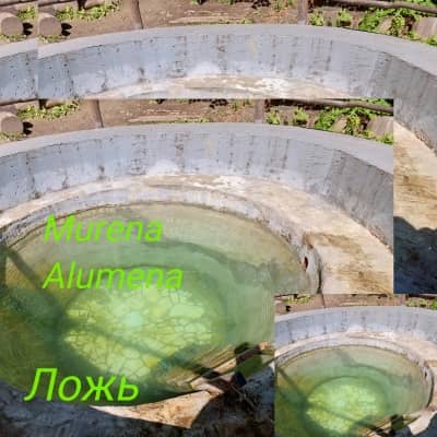 Murena Alumena - Ложь